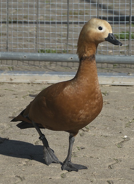 这在沙滩足