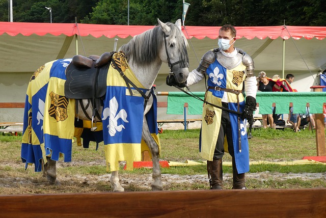 单外援出战 单外援出战