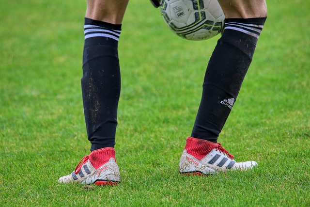 壶队伍的崛 壶队伍的崛