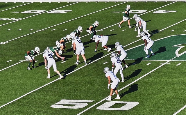 将可能成为 将可能成为