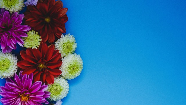 也许正是通 也许正是通