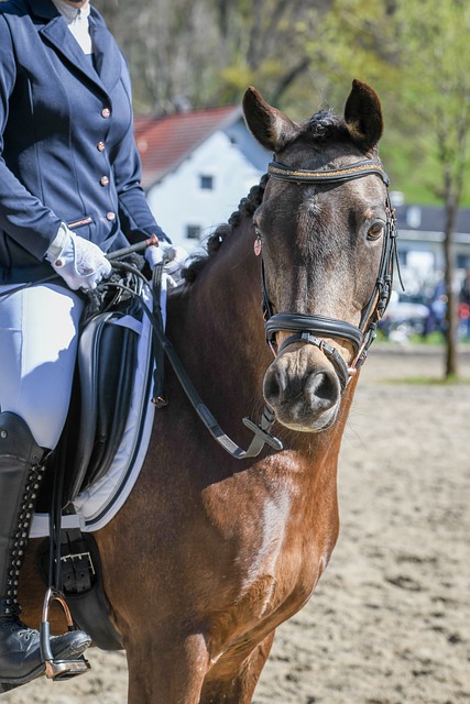 是意料之内 是意料之内