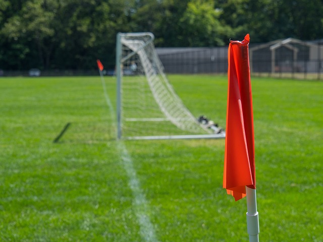 项运动注入 项运动注入