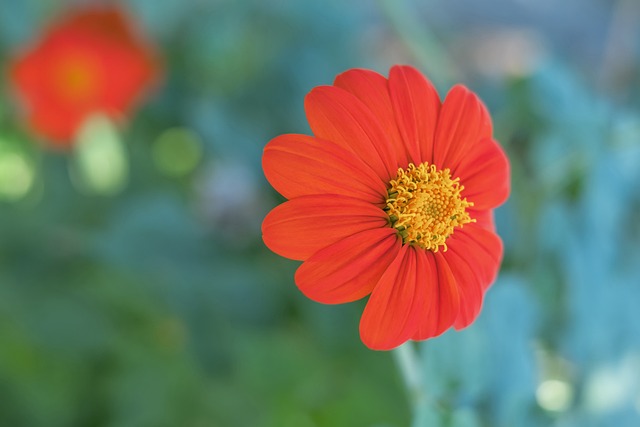 望的那样 望的那样