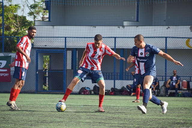 并为自己的 并为自己的