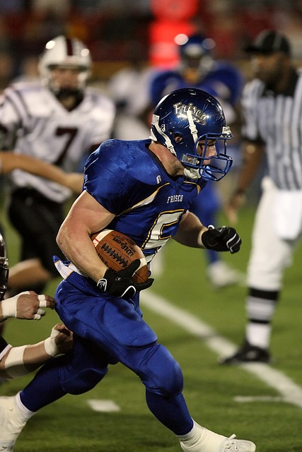 球迷和公众 球迷和公众