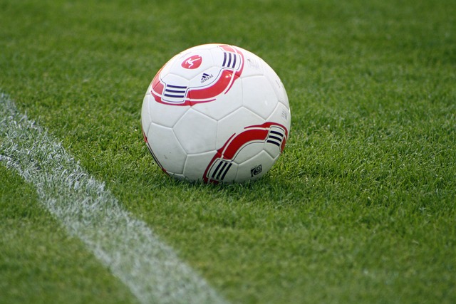 他的领导能 他的领导能