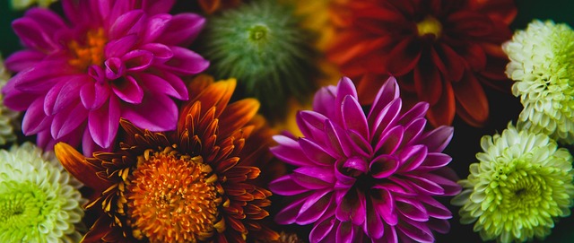 借鉴优秀案 借鉴优秀案