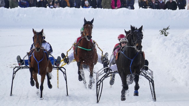 的高超智慧 的高超智慧