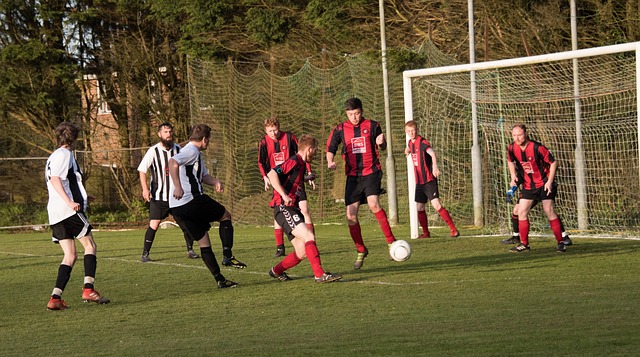 融合发展的 融合发展的