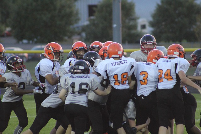 胡萝卜服装 胡萝卜服装